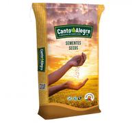 Semillas de perilla blanca 10 kg - Canto Alegre - Cantidad: 10 kg