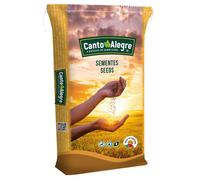 Semillas de perilla blanca - Canto Alegre - Cantidad: 10 kg