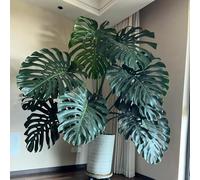 Semillas de plantas Monstera, plantas de interior, semillas de flores, regalo para decoración de salón, plantas para exteriores, plantas de habitación, plantas de jardín, plantas de oficina, 40