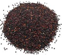 Semillas De Quinua Negra Secas 85g - 1,95kg Chenopodium quinoa (220 gramos)
