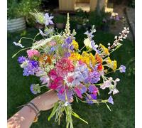 Semillas de Silvestres perennes Resistentes, Decoración de Oficina con Interior, 500pcs