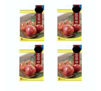 Semillas de Tomate Corazón Buey - Set 4 Unidades - Tomate para Ensaladas Semillas para Plantar en Casa