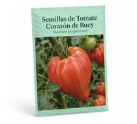 Semillas de Tomate Corazón de Buey - DECOALIVE para Actividad de Jardinería | Frutos de Forma Acorazonada y Variedad de Crecimiento Indeterminado y Porte Medio