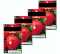 Semillas de Tomate Corazón de Buey | Pack 4 Sobres | Semillas para Sembrar en Casa
