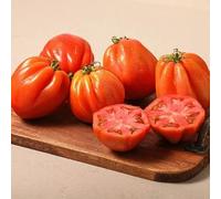Semillas de Tomate Natural para Hacer Hortalizas Comestibles para Ensalada Tomate Corazón Buey