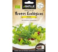 Semillas de Trigo ecológicas para germinados Batlle
