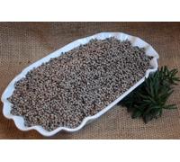semillas del árbol casto 100 g