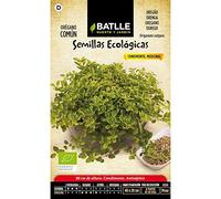 Semillas ecológicas de Orégano
