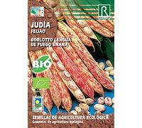 Semillas ECOLOGICAS Judia Borlotto Lengua de fuego 15 gr.…