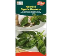 Semillas fito aromaticas albahaca gigante genovesa 01710 (caja 10 unidades)