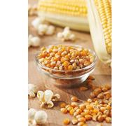 Semillas hortícolas - Maíz para palomitas - Mascarell