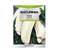 Semillas Huerto Cardo