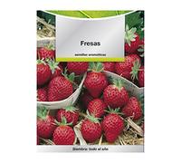 Semillas Huerto Fresas