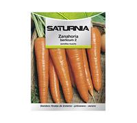 Semillas Huerto Zanahoria Berlicum
