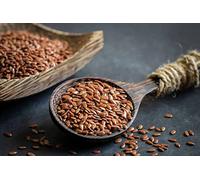 SEMILLAS LINO MARRON 15XB1K