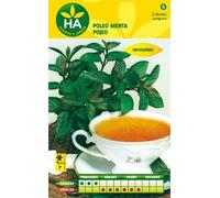 SEMILLAS POLEO MENTA AROMATICA SOBRE