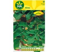 SEMILLAS RUCULA SOBRE