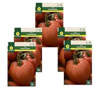 Semillas Tomate Corazón de Buey DECOALIVE Set de 5 Sobres de Semillas