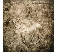 Semtex by Third Eye Foundation (2016-05-04)