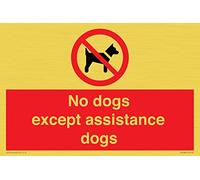 Señal de "No Dogs except Assistance Dogs", 300 x 200 mm, A4L