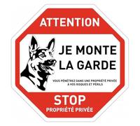Señal de tráfico prohibida, Alarma vídeo, Acceso prohibido, Propiedad privada, Atención perro, No entrar, No aparcar, Girar, Advertencia lata(68)