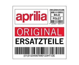 Señal frontal Aprilia, gris, H4 gris mate 760/B, 1B007007000H4