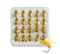 Señales de con Mosca - Juntos 20x Luros de en Forma de Abejas | Accesorios de peesca con Estuche de diseño Realista | Señivos Artificiales para Agua Dulce, mar, Trucha, Poste,