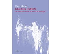 Señas hacia lo abierto: Los estados de ánimo en la obra de Heidegger: 17 (Fisuras)
