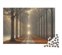 Sendero Bosque Otoño Rompecabezas Premium 1000 Piezas Adultos Sendero Bosque Luz Solar Árboles Grueso Resistente Vibrante Desafiante Alivio Estrés Juego 52x38cm/1000pcs