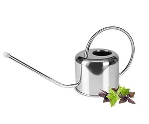 Sendez Regadera Pequeña de acero inoxidable, 1 L, pulida, regadera para flores, regadera para plantas, flores