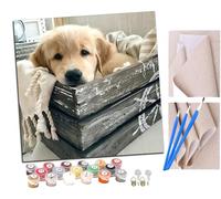 SENDJJ Pintura por Números Adultos Animal Golden Retriever Pintura acrílica con Pinceles Adultos Kit de Pintura por Números Artesanía para Regalos de Lona para el Hogar 40 x 40 cm