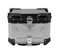 SENECESLI Baúl para Motocicleta, Caja Trasera para Motocicleta, Caja para Equipaje Trasero Impermeable de Aleación de Aluminio de 45 L con Placa de Liberación Rápida, Cojín Trasero para (Silver)