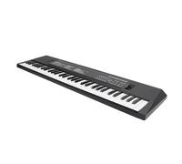 SENECESLI Teclado Electrónico, 6 Canciones de Demostración del Teclado de Piano Eléctrico 61 Plástico Plástico de 5 Sonido de Holgura para Viajar