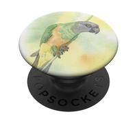 Senegal Parrot Acuarela Ilustración PopSockets PopGrip Adhesivo