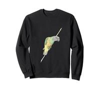 Senegal Parrot Acuarela Ilustración Sudadera