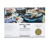 SENNELIER La Carte Pastel Tarjeta Pochette, 15.75 x 11 pulgadas, gris claro monocromático