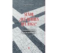 «Señor, ¿qué quieres que haga?»: Catequesis sobre el discernimiento (PAPA FRANCISCO)