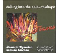 Señorino Maurizio, Carcano Santino - Caminando Hacia La Forma Del Color