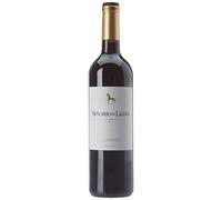 Bodega Pirineos Señorio de Lazan Reserva 2018 1 x 750 ml