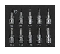 SENRISE Juego de brocas de 9/10 piezas 3/8 pulgadas H2-H10 T10-T55 Hex/Torx Bit Socket Tuercas para bricolaje y reparación, plateado y negro