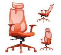 SENSE7 Silla de Oficina Ergonómica Naranja 150kg y Soporte Lumbar de Malla | Reposabrazos, Ruedas Giratorias, Para Despacho y Estudio, Asiento Juvenil, Para Ordenador, Gaming, para Escritorio
