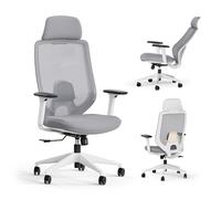 SENSE7 Silla Escritorio Ergonómica para Oficina Cadeira Juvenil Office Chair Ordenador Giratoria Despacho Estudio de Malla con Ruedas Reposabrazos Soporte Lumbar Soporta MAX 150kg - NAKAI Blanco Gris