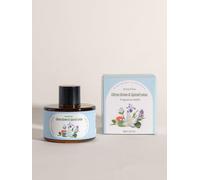 SenseFlow Aceite Esencial para Difusor 30ml, Aceites Aromáticos 100% Puros, Aceite de Aromaterapia de Primera Calidad, Fragancias para el Aire, Relajación - Cítricos y Loto Especiado