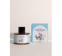 SenseFlow Ricarica per diffusore d'aria per la casa SF101/SF101S, fino a 160 ore di fragranza premium per ricarica, essenziale per la casa, confezione da 1, fiore costiero