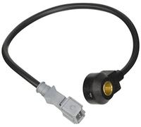 Sensor De Detonacion