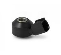 Sensor de detonación 60221 FAE para JAGUAR LAND ROVER FORD