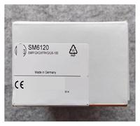 Sensor de flujo SM6120 Interruptor de flujo Original