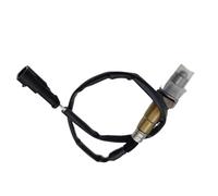 Sensor de oxígeno Compatible Con Fiat Para Lybra Para Cargo 1995 1996 1997 1998 1999 2000 2001 2002 2003 2004 2005 2006 2007 2008 2009 2010 2011 2012 Sensor De Oxígeno O2