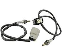 Sensor de oxígeno OE:32700005 (2 Unidades) Sensor de oxígeno Delantero y Trasero Compatible con Harley Davidson Dyna FXD Softail FLS V-Rod VRSC 2012-2017