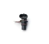 ESEN SKV Sensor, Nockenwellenposition 17SKV248